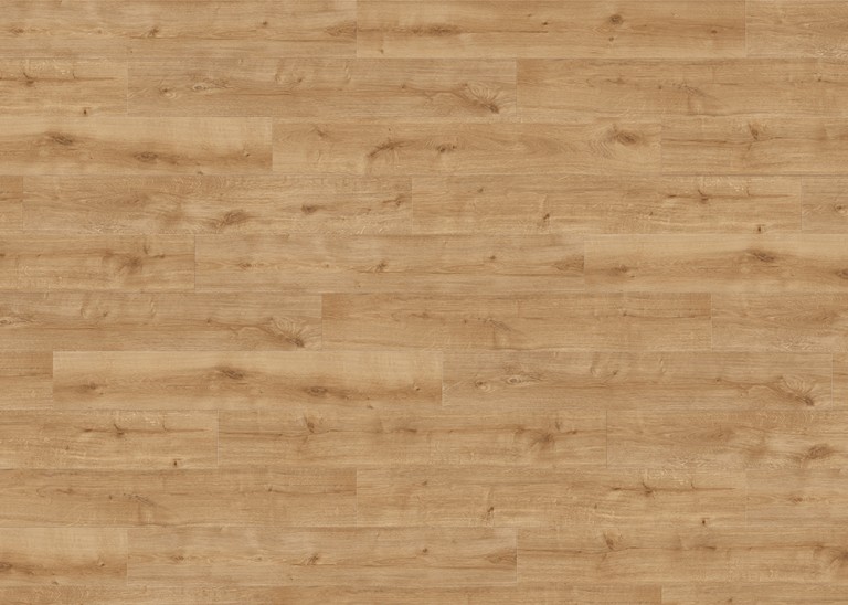 HARO LAMINATE DAILY EDITION 8MM TC PL 4V OAK CALLA NATURE TEXTURED